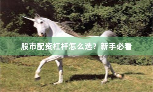 股市配资杠杆怎么选？新手必看